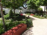 DSC08093