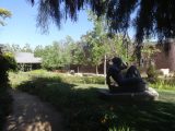 DSC08250