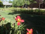 DSC08253