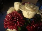DSC08806