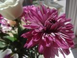 DSC08808