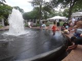 DSC08834