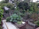 DSC08936
