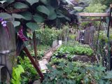 DSC08940