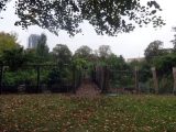 DSC08948
