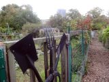 DSC08950