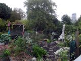 DSC08951