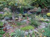 DSC08955