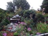 DSC08960