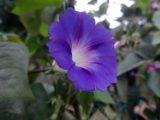 DSC08969