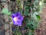 DSC08973