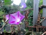 DSC08975