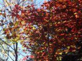 DSC09025