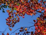 DSC09027