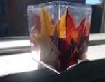 DSC09079