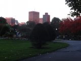 DSC09055