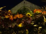DSC09070