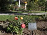 DSC09086