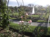 DSC09089