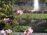 DSC09090