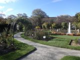 DSC09098
