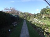 DSC09101