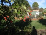 DSC09105