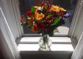 DSC09106