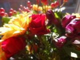 DSC09109