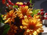 DSC09110