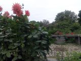 DSC09224