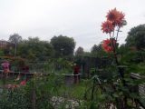 DSC09225