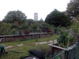 DSC09226