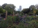 DSC09231