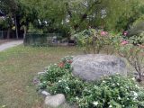 DSC09232