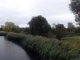 DSC09235