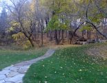 DSC09517