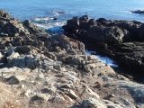 DSC00104