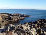 DSC00109