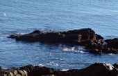 DSC00114
