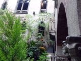 DSC00260