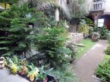 DSC00264