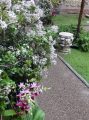 DSC00271