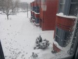 Tuesday morning, waking up to tons of snow