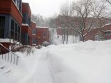 DSC00393