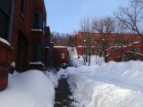 DSC00404