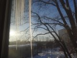 DSC00445