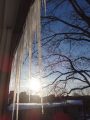 DSC00455