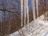 DSC00458