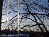 DSC00460
